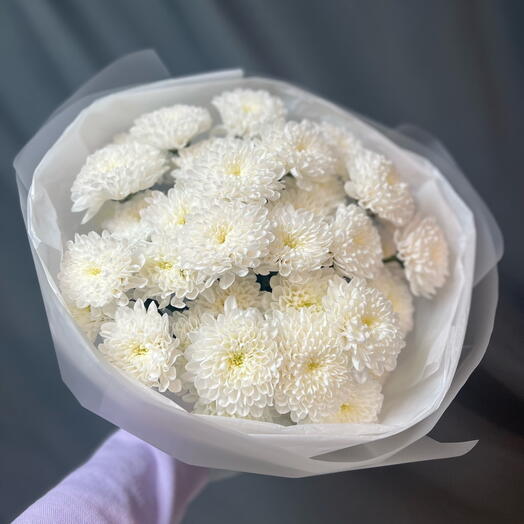 Magnolia_Flowers