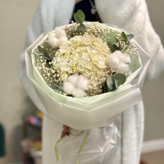 Bloom