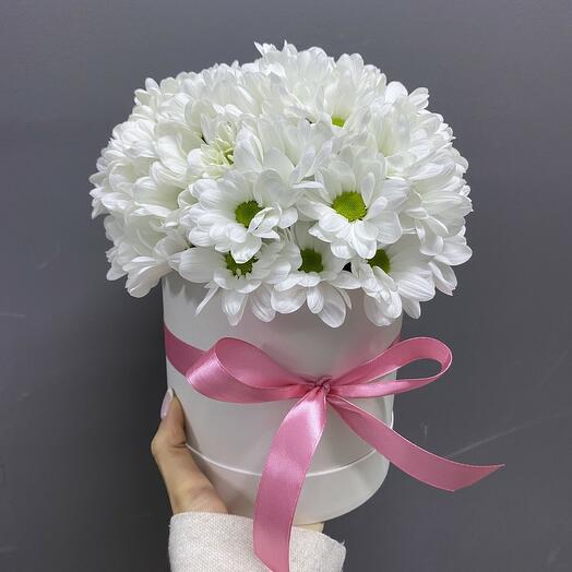 Chrysanthemum in a hatbox