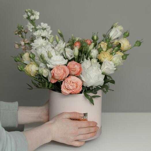 Softness