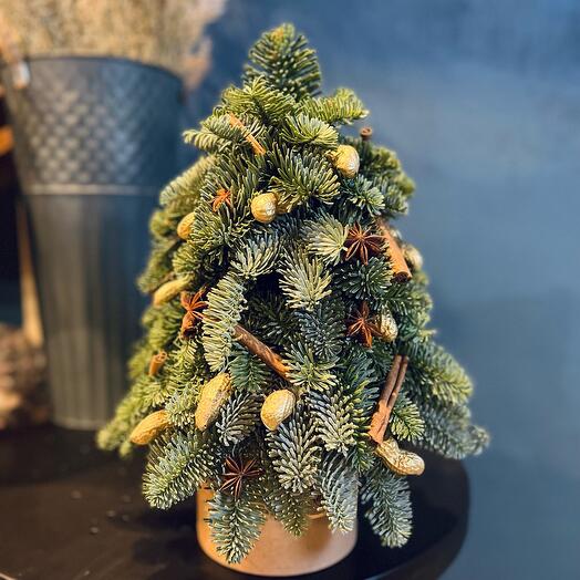 Ёлка новогодняя