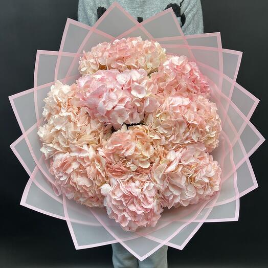 Pink hydrangeas