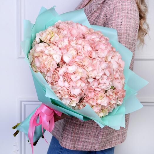 Pink hydrangea