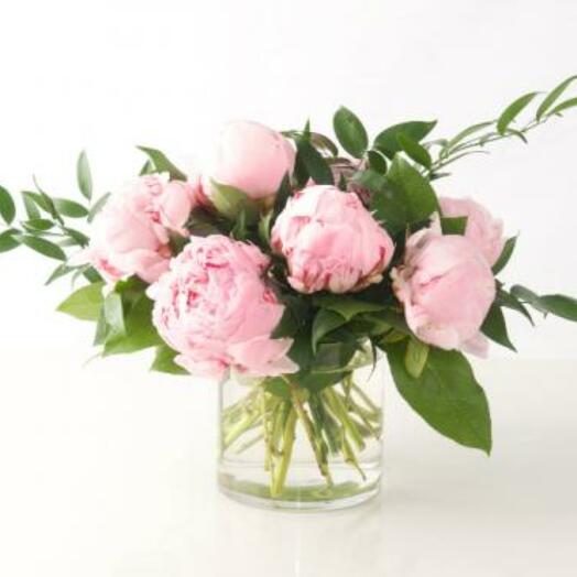 PRETTY PEONIES IN PINK