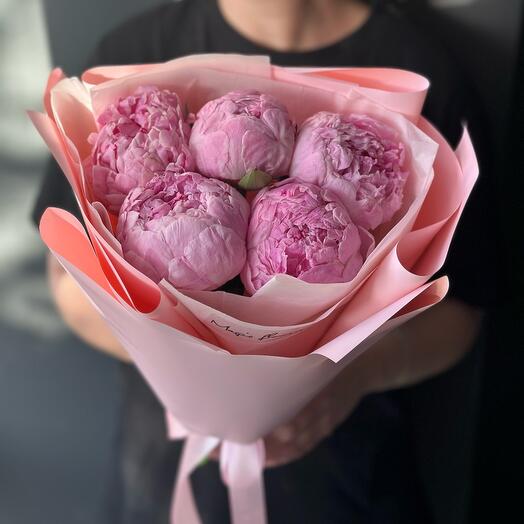 Monobook of 5 peonies by Sarah Bernhardt "Top five"