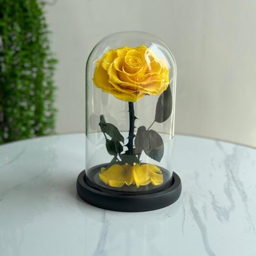 Forever Rose Yellow (preserved rose)