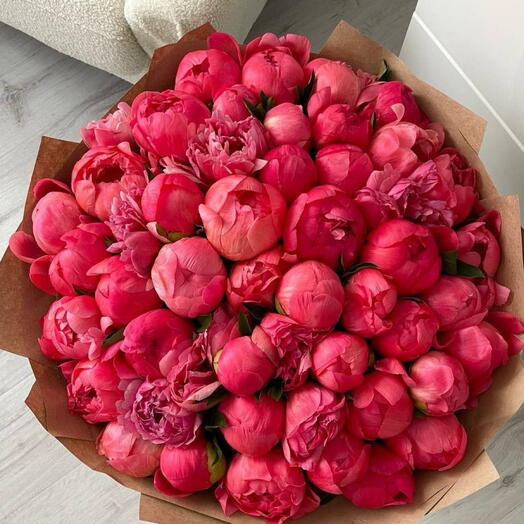 101 peony coral sharm