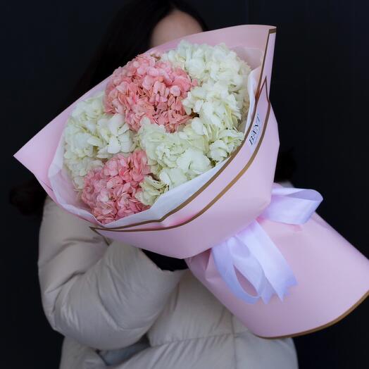 5 гортензий-1