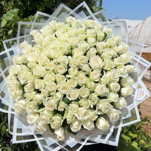 101 white rose bouquet