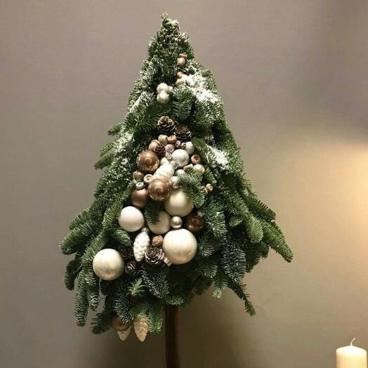 Live Christmas tree (50 cm)