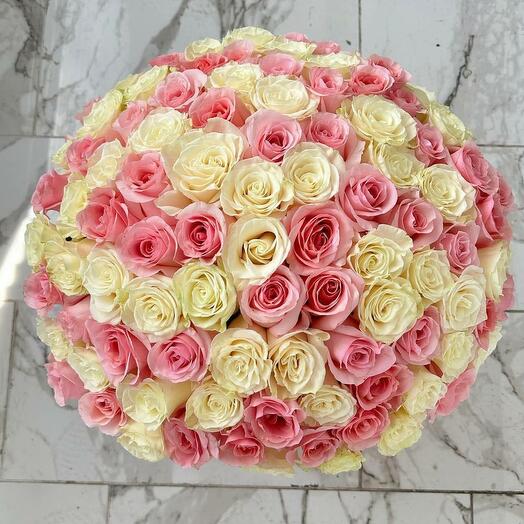 Bouquet of 101 white and pink roses