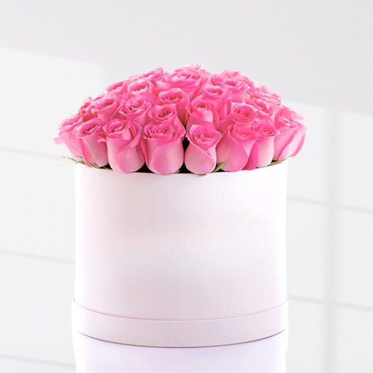 Pinkish charm box ( 31 roses )