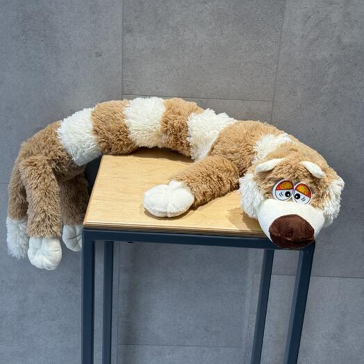 Кот белорусский