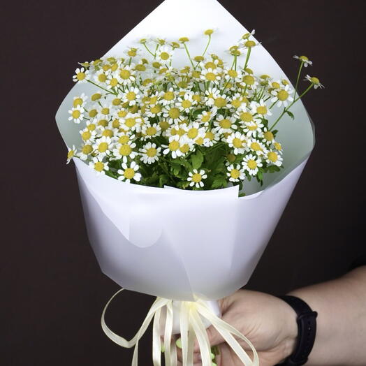 РасЦвет