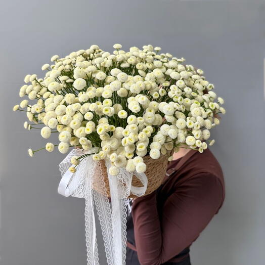 Rosalia flowers 