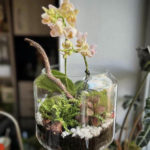 Mini-mir