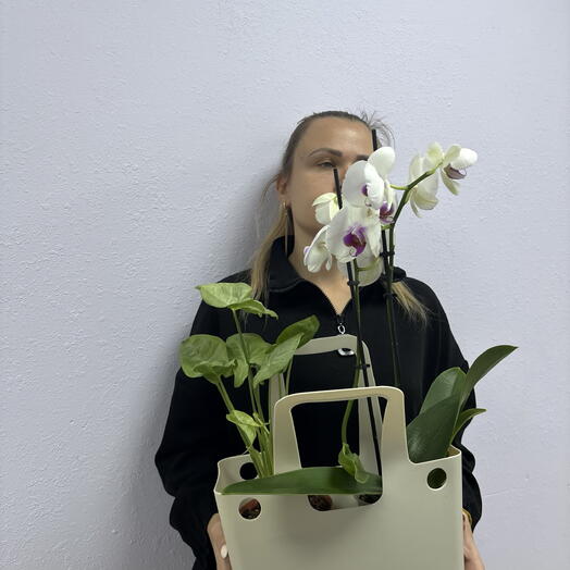 Alenkiy cvetochek