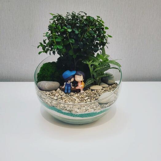 Composition in the florarium with Myrsina