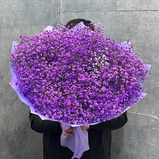 Гипсофилла Фиолетовая 😍💜