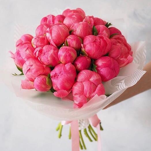 Коралловые Пионы