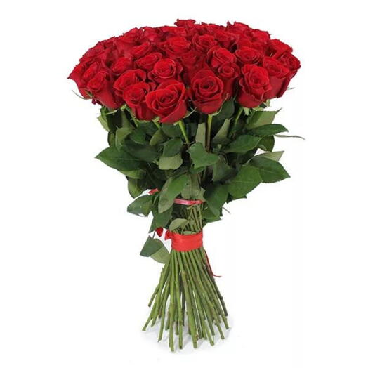 Long Stem Red Roses