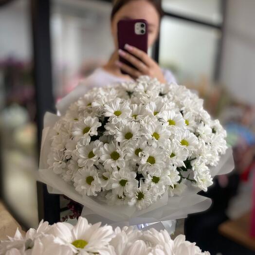 Хризантемы кустовые