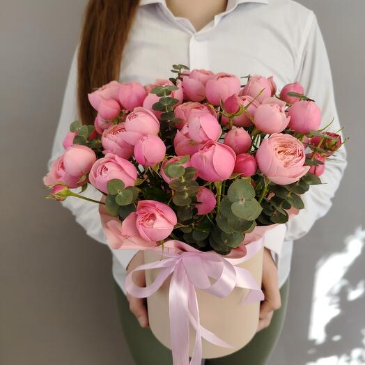 Пион роза  🌸Акция