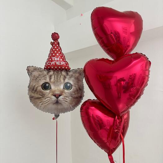 Шарики сердечки с котиком