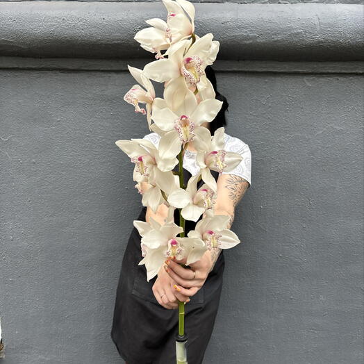 Букетье Flowers • Presnya