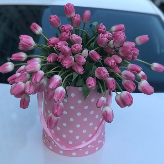 Клумба из тюльпанов