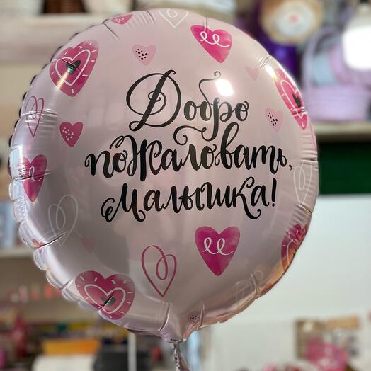 Шар Добро пожаловать малышка