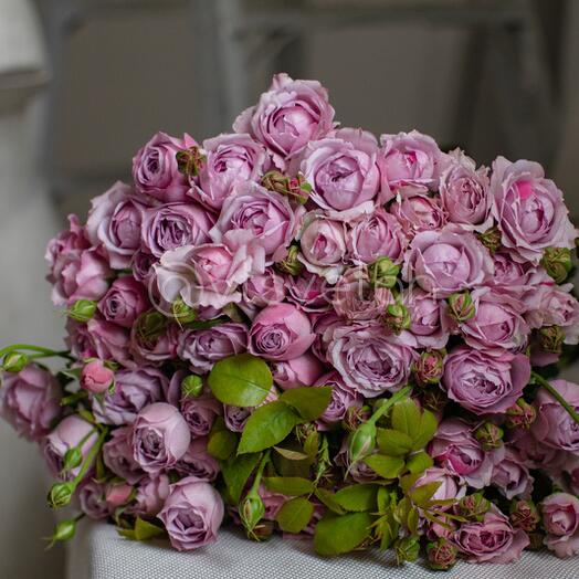 Peony Rose mix