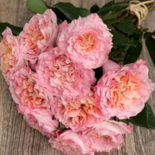Ramo de rosas de Terry