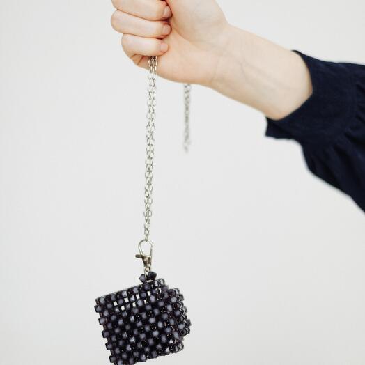 Earphone Case