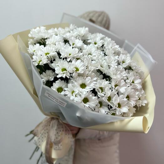 Field of daisies