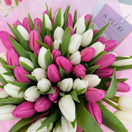 Tulips mix *65* pink and white 🤍🩷