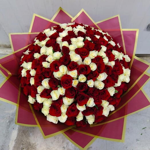 300 RED AND WHITE ROS Bouquet