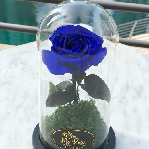 Single Blue Forever Rose Small