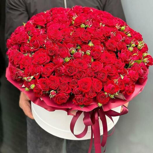 Sweet Red Baby Roses