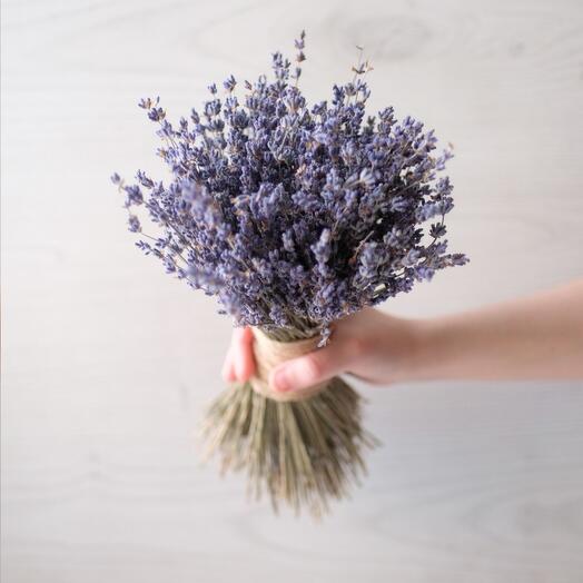 Букет из лаванды