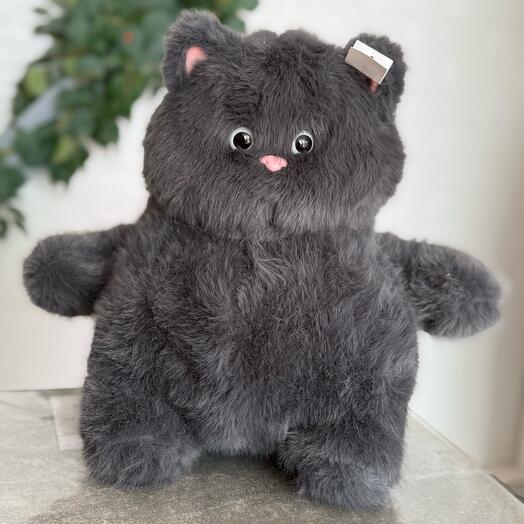 Кот пухляш серый