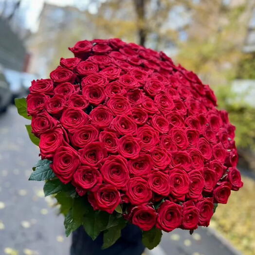 101 Роза эквадор 80 см 🌹