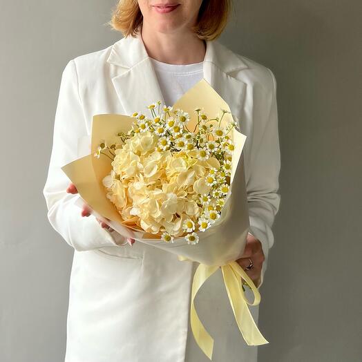 White Rose studio