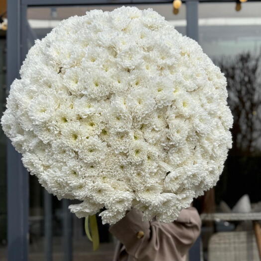Versailles floral