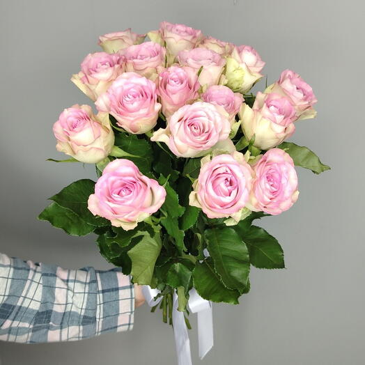 RoseHrise