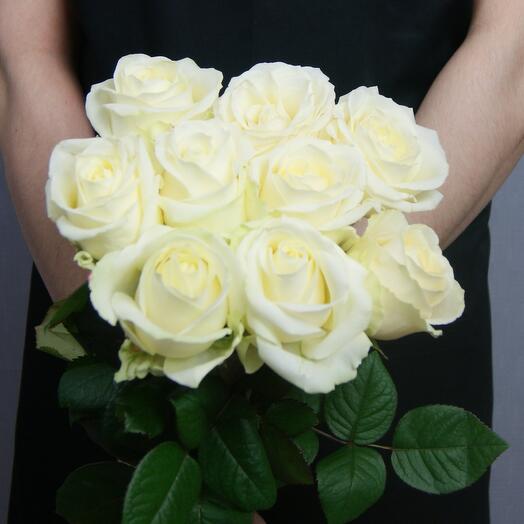 White Rose