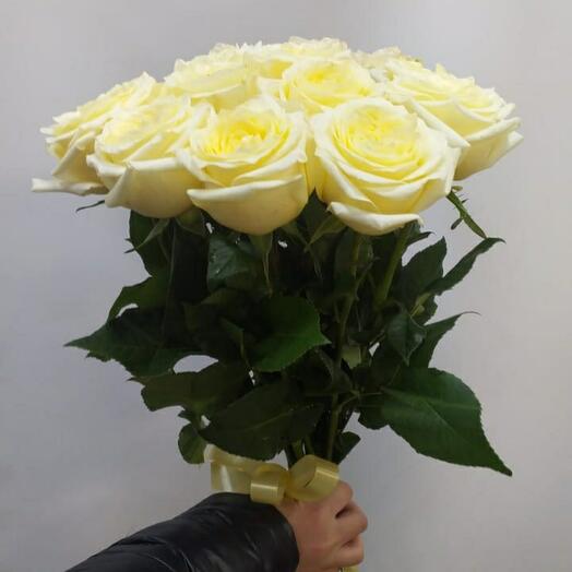 Rosas "Candelite"