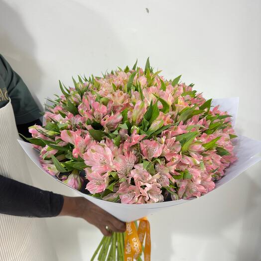 51 Pink Astromeria Bouquet
