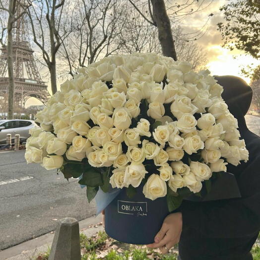 300 white roses in the box