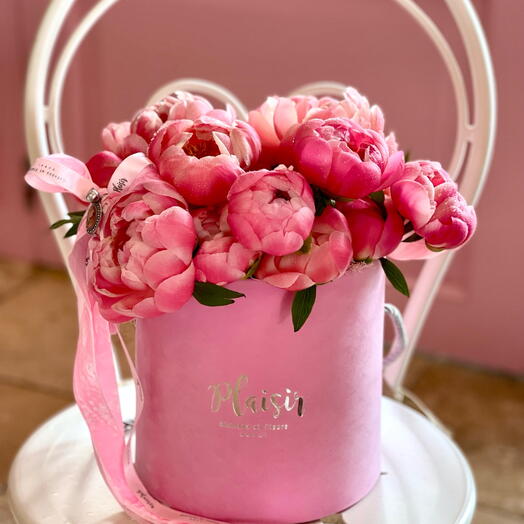 Only Peonies in cylinder